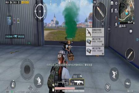 哪有真的和平精英外挂（和平精英外挂是啥）