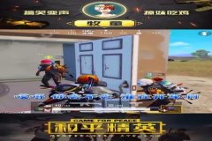 牧童和平精英辅助瞄准开吗（牧童和平精英开车键位）
