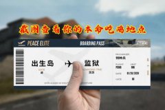 汤易和平精英外挂怎么用（和平精英怎么用鸡哥回血）