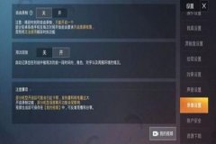 辅助触控 和平精英怎么开（辅助触控模式和平精英怎么用）