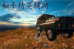 有哪些和平精英辅助软件（和平精英辅助软件大全）