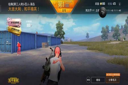 玩和平精英哪个辅助（玩和平精英最强辅助）