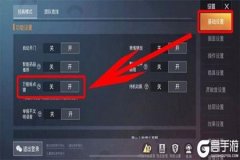 如何解决和平精英外挂（如何在和平精英开启外挂）