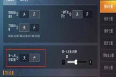 瞄准辅助器和平精英怎么开启（瞄准辅助器和平精英）