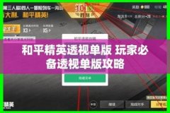 青铜可以巡查和平精英外挂吗（和平精英外挂敢用吗）