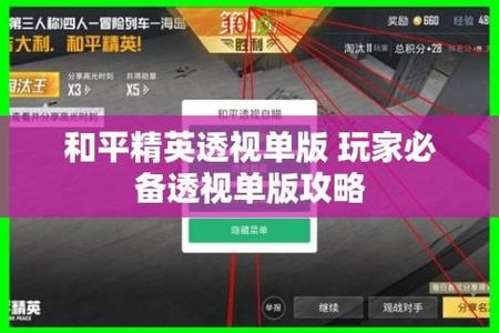青铜可以巡查和平精英外挂吗（和平精英外挂敢用吗）