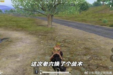 杨易和平精英辅助怎样用（杨易和平精英如何使用）