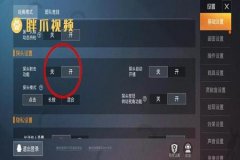 和平精英里怎么开隐形外挂（和平精英里面怎么开隐身外挂）