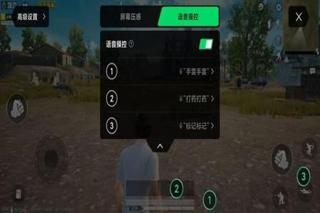 和平精英黑鲨有哪些辅助（和平精英黑鲨辅助器）