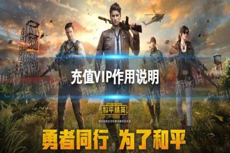 最新和平精英辅助免费使用（和平精英辅助使用教程）