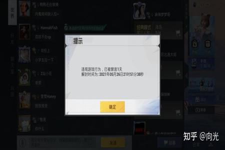 怎么和平精英巡查外挂（怎样在和平精英里面巡查外挂）