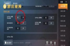 怎么用外挂和平精英（怎么检测和平精英外挂）