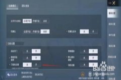 如何打开和平精英外挂巡查（如何开启和平精英外挂功能）