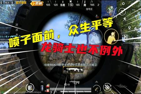 和平精英龙骑士辅助是真的吗（和平精英龙骑士辅助教程）