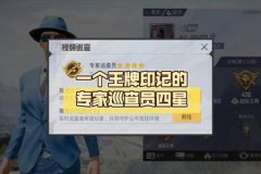 怎么当和平精英外挂巡逻（怎么看和平精英外挂巡查）