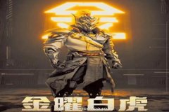多少主播用的辅助玩和平精英（主播用什么玩和平精英）