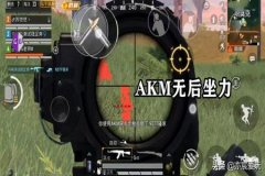 和平精英顶级辅助软件哪个好（和平精英辅助神器软件哪个好用）