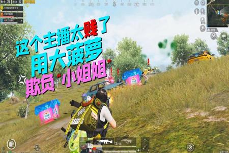 遇到外挂和平精英怎么办（老撕鸡遇到外挂和平精英）