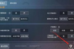 外挂如何使用和平精英（外挂应该怎么用和平精英）
