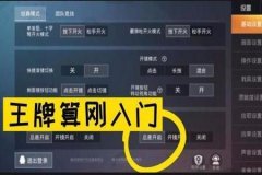 外挂在和平精英中怎么开（在和平精英里面怎么才能开外挂）