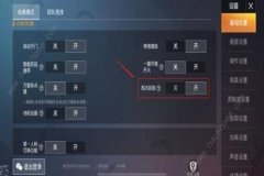 如何在和平精英中设置外挂（怎么在和平精英中在设置里开外挂）