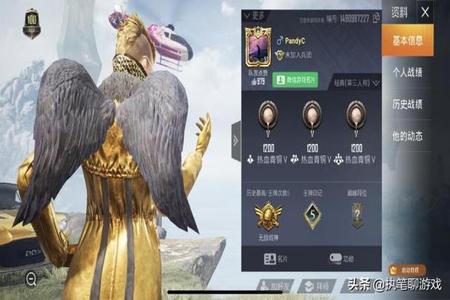 搜那种和平精英辅助（和平精英辅助id）