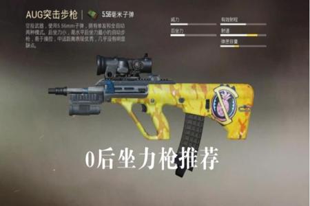 枪型辅助器和平精英哪个好（射手枪和平精英哪个好用）