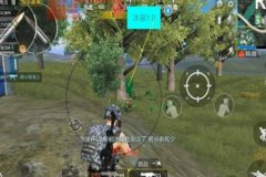 辅助大神和平精英怎么下载（和平精英辅助插件怎么下载）
