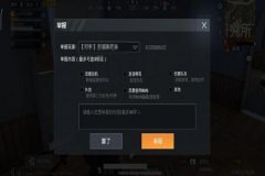 拼多多上面的和平精英辅助（拼多多上面的和平精英代抽）