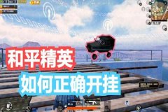 我要学和平精英怎么开外挂（和平精英中教你怎么开外挂）