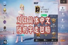 那款和平精英外挂好用（和平精英外挂有没有用）