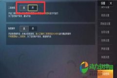 怎么开外挂和平精英并且不封号（怎么在设置里开外挂和平精英）