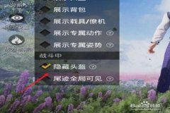 如何正确利用和平精英辅助器（和平精英辅助器教程）