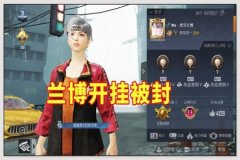 鸟人辅助玩和平精英怎么被封号了（和平精英有挂不用会被封号吗）