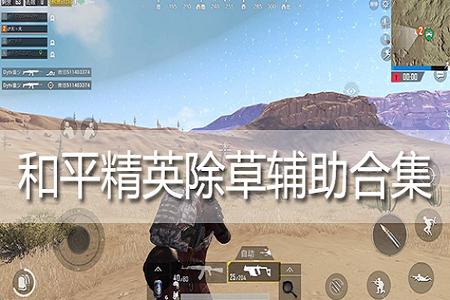 淘宝有卖和平精英辅助的吗(淘宝和平精英游戏辅助) 淘宝有卖和平精英辅助的吗(淘宝和平精英游戏辅助)