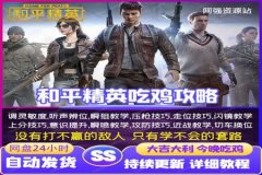 求和平精英免费透视辅助（和平精英透视辅助下载）