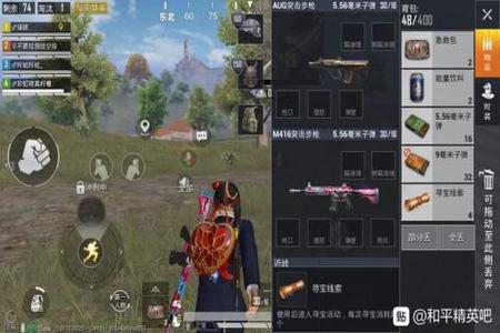 和平精英高级辅助有什么用(和平精英辅助射击有什么用) 和平精英高级辅助有什么用(和平精英辅助射击有什么用)
