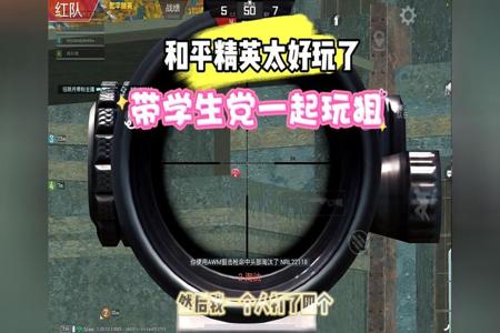 怎么通过vmos开和平精英辅助（vmos玩和平精英卡）