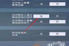 在和平精英怎么设置外挂（和平精英中怎么设置外挂）