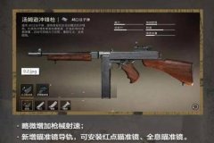 和平精英高频设置辅助瞄准是什么（和平精英枪械设置辅助瞄准是什么）