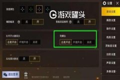 和平精英鸽子辅助怎么用（和平精英雪花辅助怎么用）