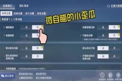 辅助器和平精英键位怎么调（辅助器和平精英怎么调）