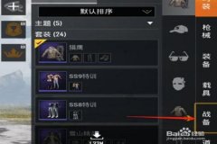 猎鹰辅助和平精英怎么样（猎鹰玩和平精英）