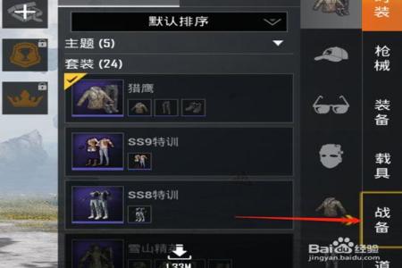 猎鹰辅助和平精英怎么样（猎鹰玩和平精英）