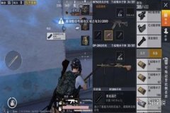 辅助装置和平精英怎么用（和平精英配件怎么用）