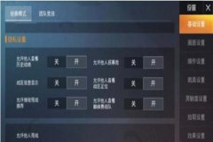 如何玩好和平精英外挂（如何处理和平精英外挂）